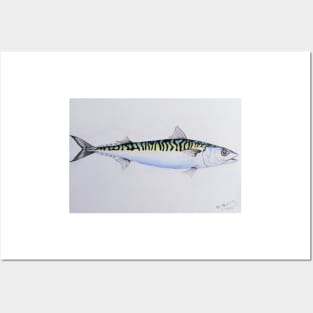 THE MACKEREL Posters and Art